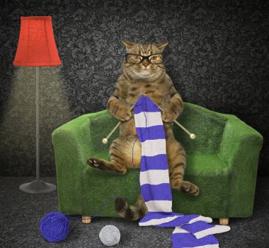 Kedi yeşil bir kanepede bir scraf örer