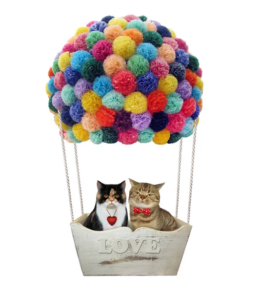 Cats in a hot air balloon — Stock Photo, Image