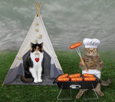Kedi bir piknikte sevgilisi için pişirir