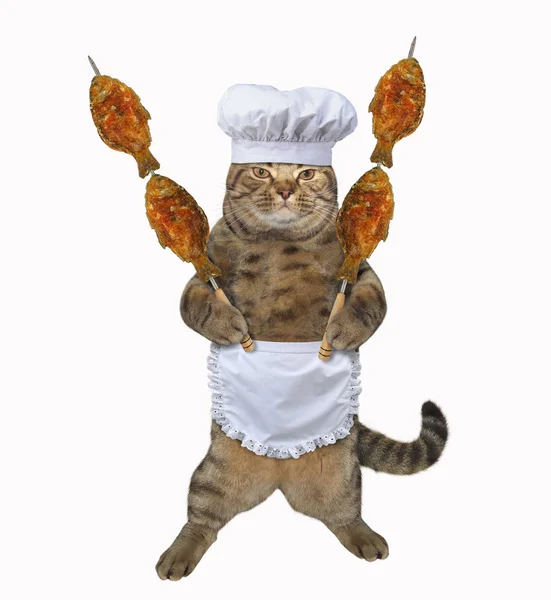 Gato cozinha peixe grelhado em espetos — Fotografia de Stock