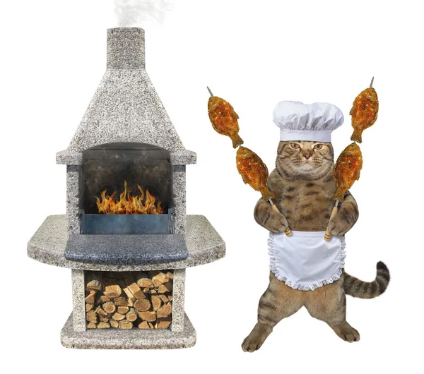 Kot z grillowanymi rybami w pobliżu grilla Grill — Zdjęcie stockowe