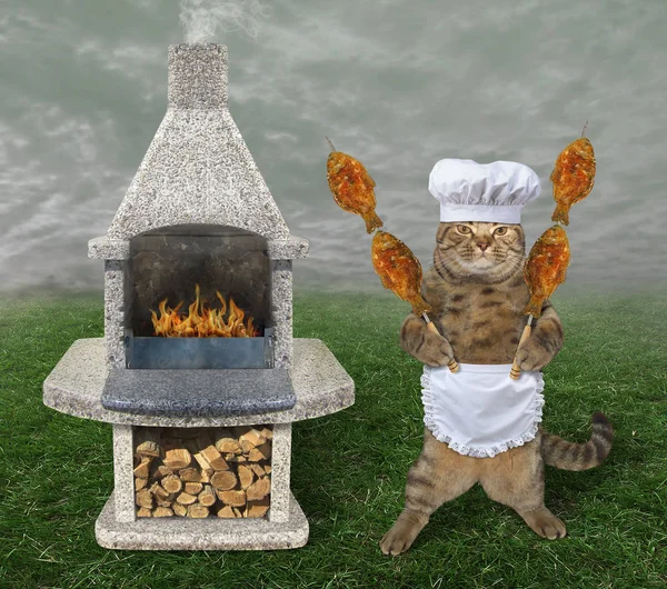 Gato com peixe grelhado perto de churrasqueira 2 — Fotografia de Stock