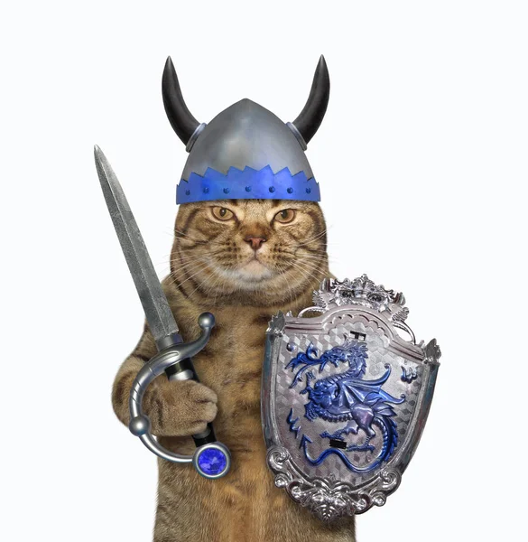 Cat holds a shield and a sword 3 — Stock Photo, Image