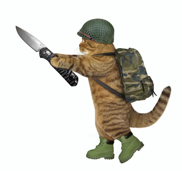 Soldat chat tient un couteau — Photo