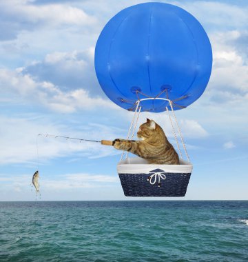 Mavi sıcak hava balonu kedi balıkçı