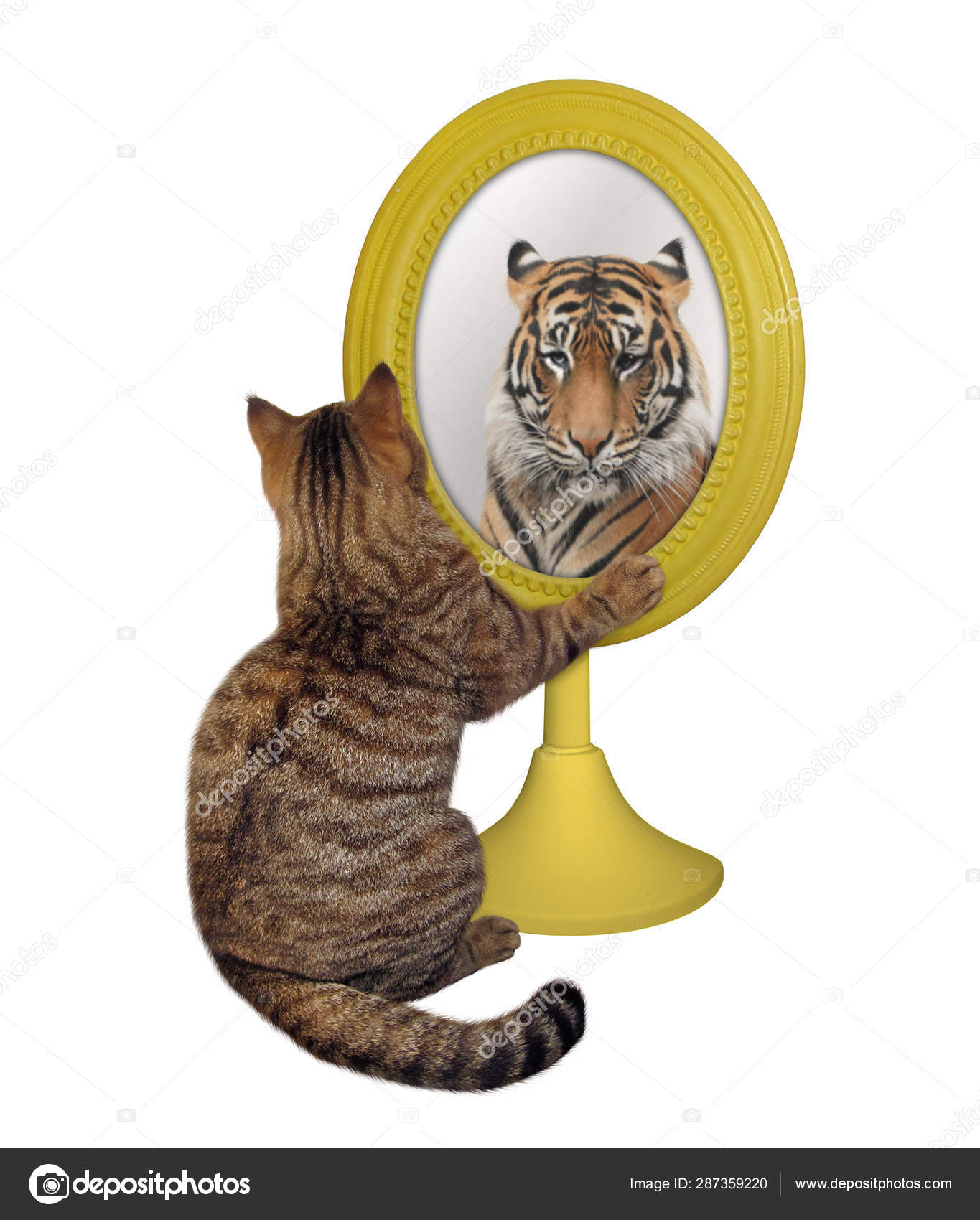 Lion Chat Miroir Images Libres De Droit Photos De Lion Chat Miroir Depositphotos Lion Chat Miroir Images Libres De Droit Photos De Lion Chat Miroir Depositphotos