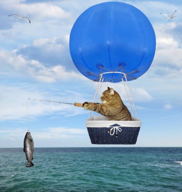 Mavi sıcak hava balonu 2 kedi balıkçı