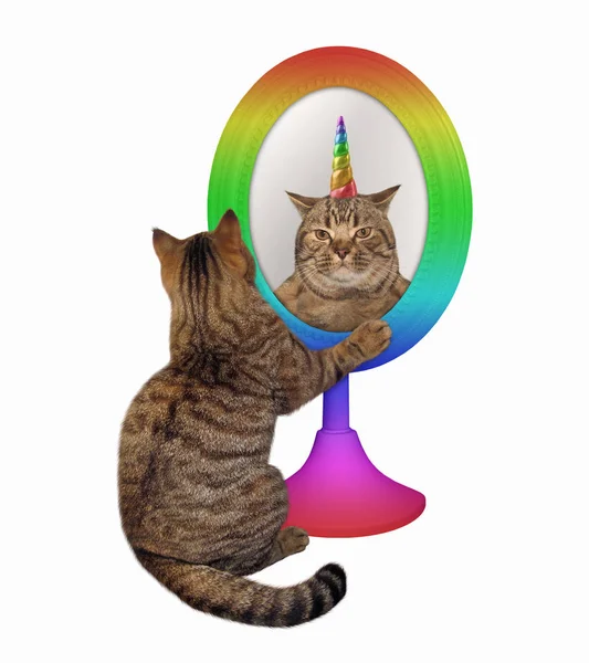 Gato y su reflejo unicornio — Foto de Stock