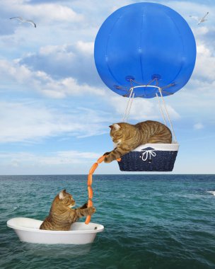 Mavi sıcak hava balonunda kedi kurtarıcısı