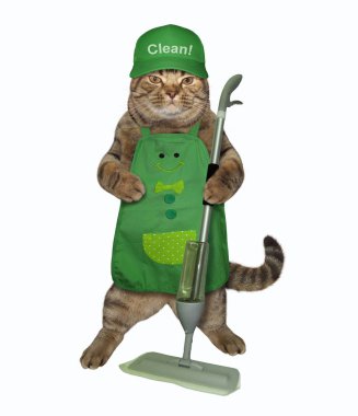 Kedi sprey paspas ile temizler