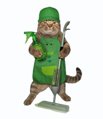 Bir sprey şişesi ve bir paspas ile kedi
