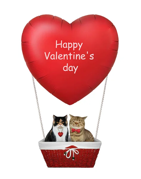 Katzen in einem roten Herzballon 2 — Stockfoto