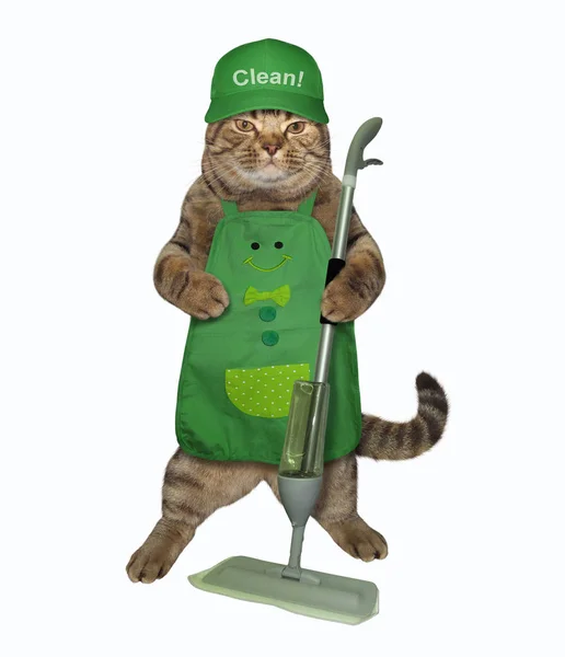 Gato limpa com um esfregão de spray — Fotografia de Stock