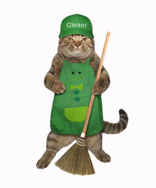 Kedi bir süpürge ile temizler