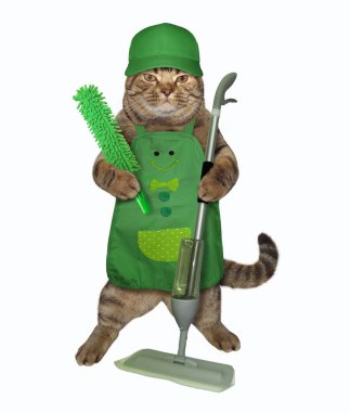 Toz fırça ve paspas ile kedi