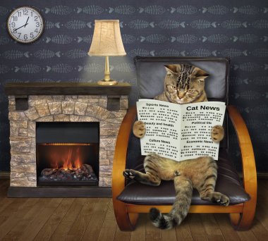 Kedi bir şömine tarafından gazete okur