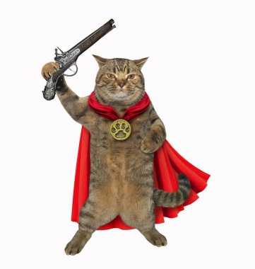 Bir tabanca 2 ile kedi kahramanı