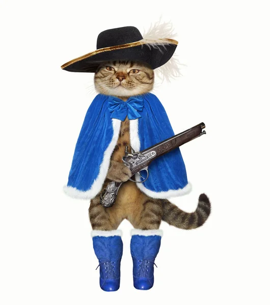 Mousquetaire chat avec un pistolet — Photo