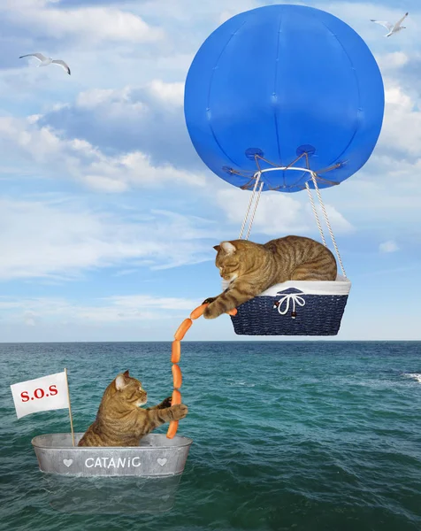Спасатель кошек на голубом воздушном шаре 3 — стоковое фото