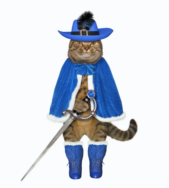 Guerreiro gato em azul com uma espada — Fotografia de Stock