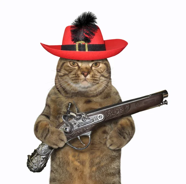 Kedi savaşçı bir tabanca tutar 2 — Stok fotoğraf