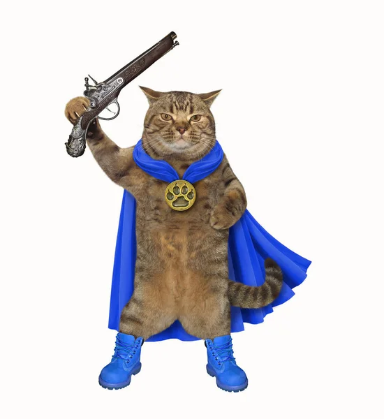 ピストルを持つ猫のヒーロー — ストック写真