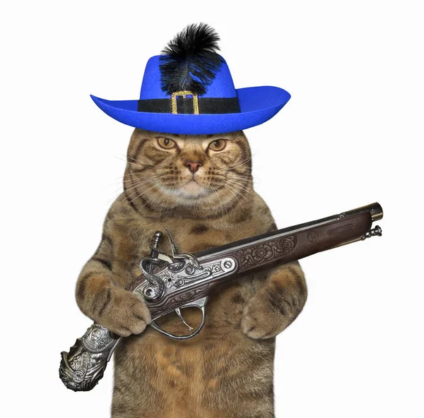 Cat warrior holds a pistol — Stock Photo, Image