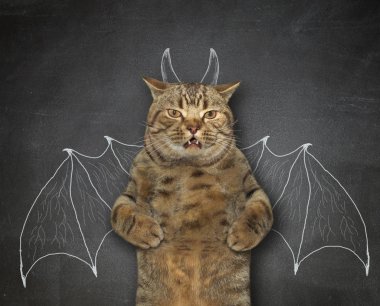 Kedi yarasa olmak istiyor.