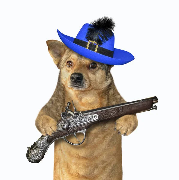 Hundekrieger hält eine Pistole 2 — Stockfoto