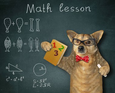 Köpek bir matematik dersi 2 verir