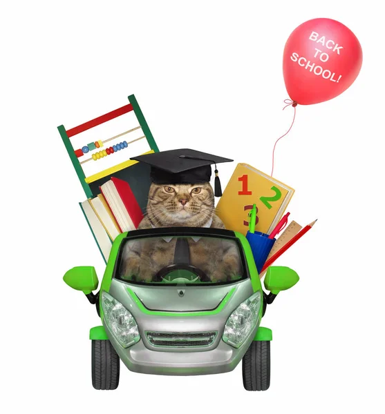 Cat goes to school by car 2