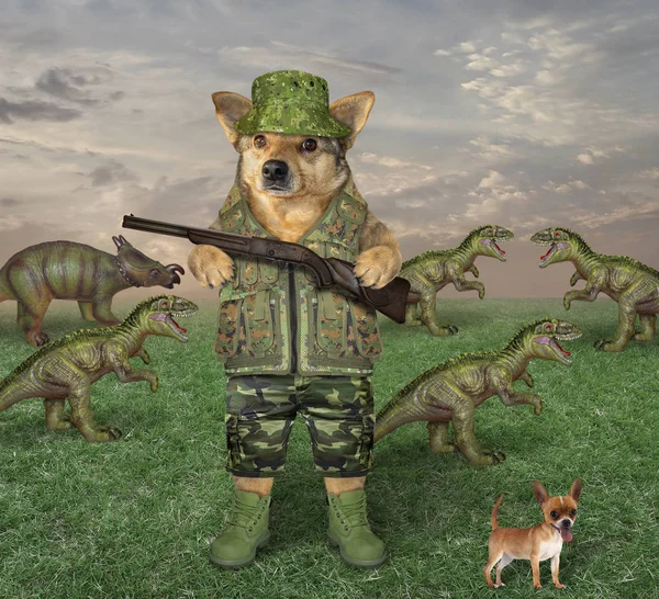 Kutya a puska horkások sárkányok — Stock Fotó
