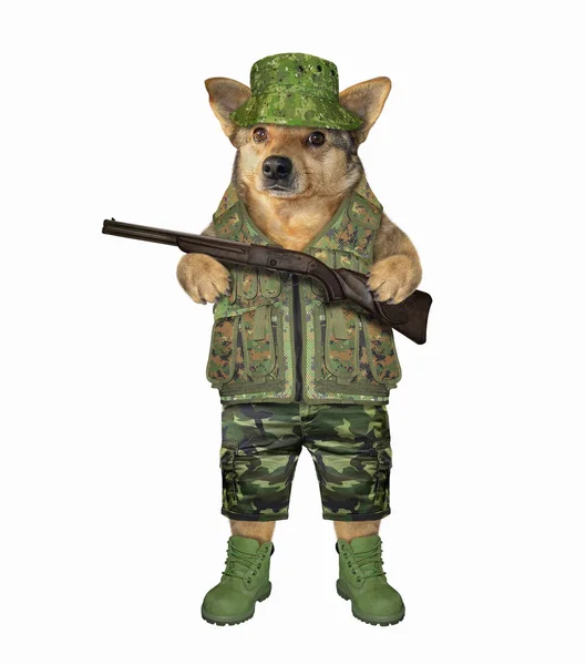Hond jager houdt een geweer — Stockfoto