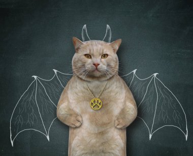 Kedi yarasa 3 olmak istiyor