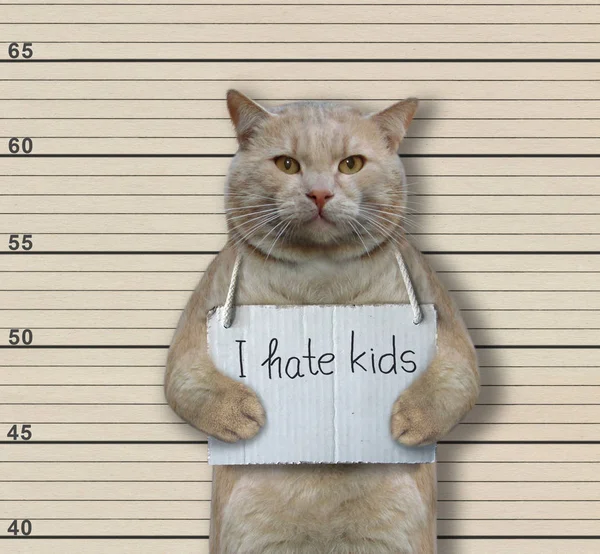 Gato criminal odia a los niños — Foto de Stock