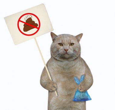 Kedi kakasını temizledi 3
