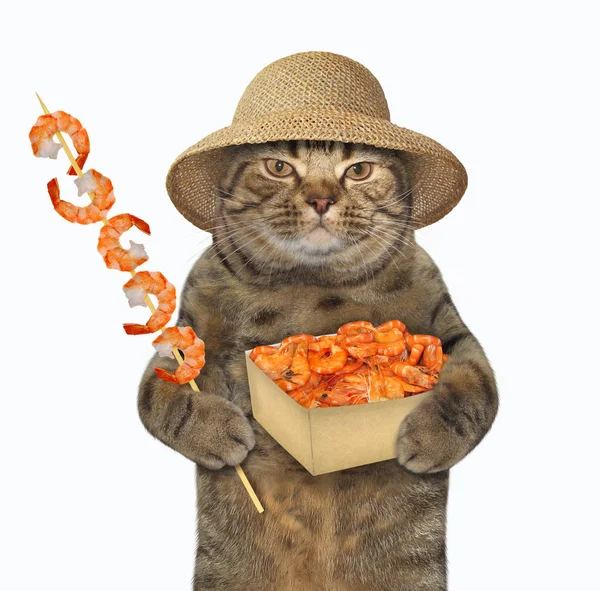 猫吃虾2 — 图库照片