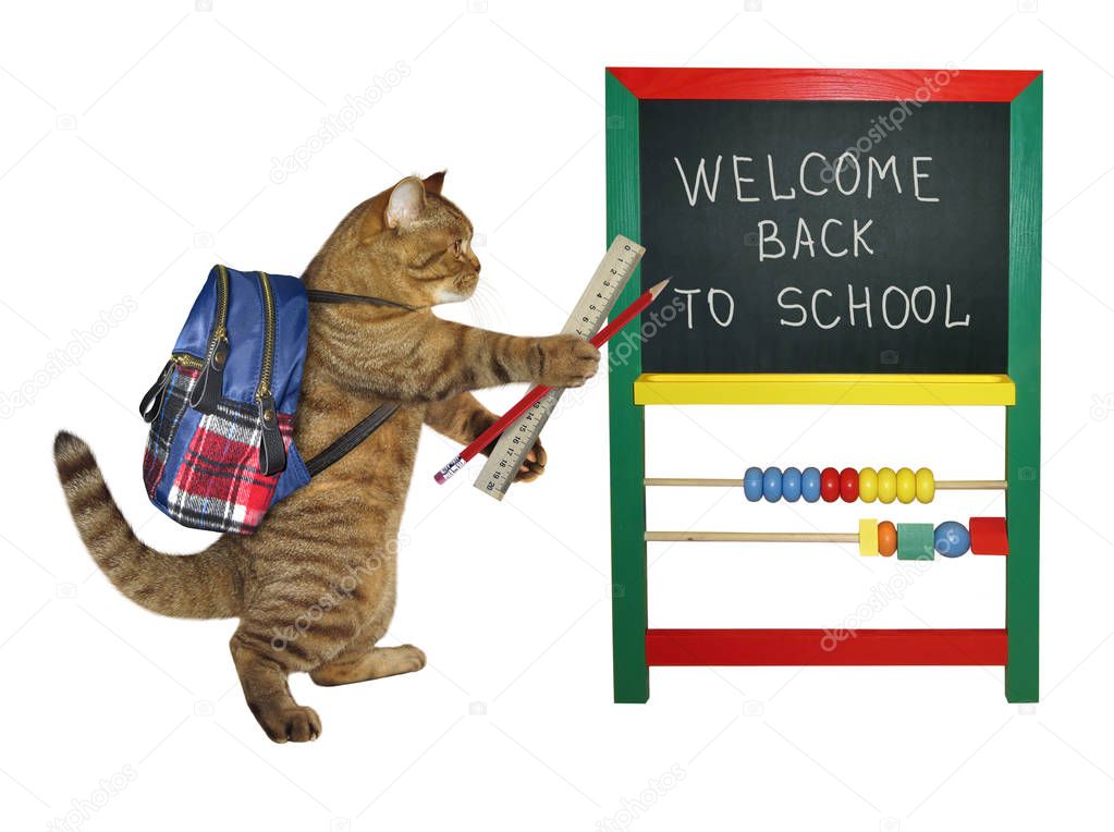 Cat goes to school 2
