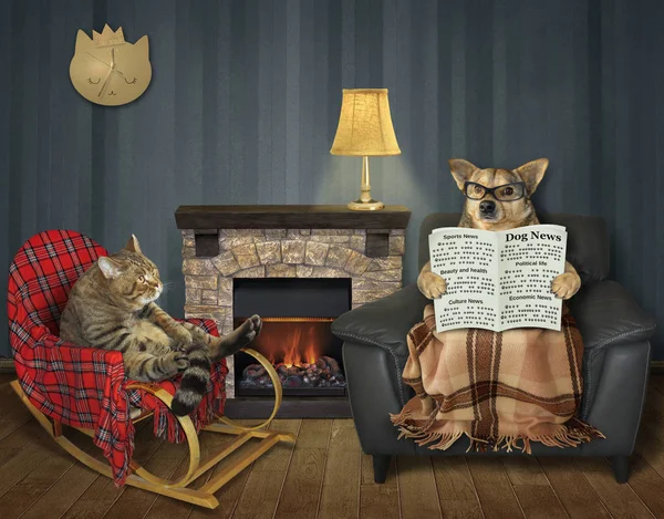 暖炉の前で犬と猫 — ストック写真