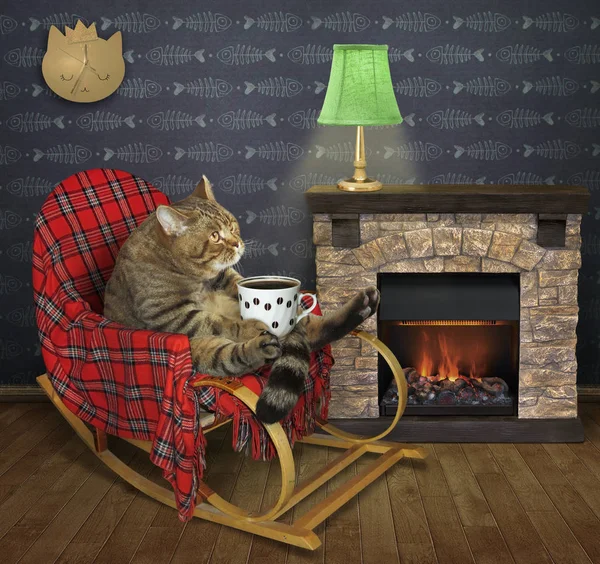 Kedi şömine ile kahve içer