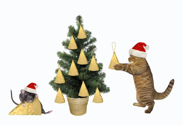 Katze schmückt den Weihnachtsbaum 2 — Stockfoto