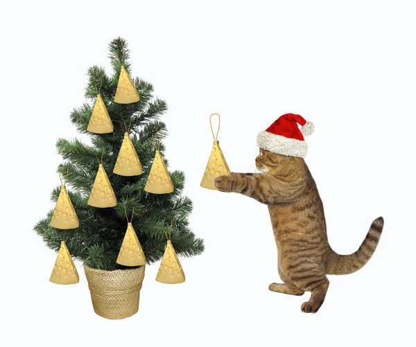 Gato decorando a árvore de Natal — Fotografia de Stock