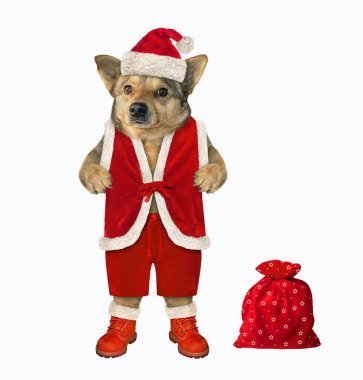 Hediye bir çuval ile Köpek