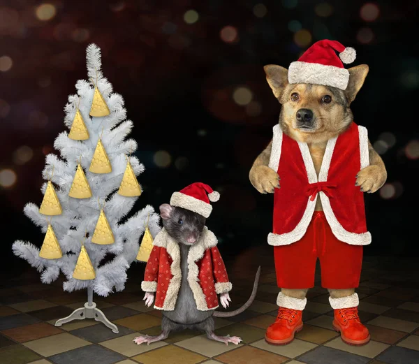Pes s krysou u vánočního stromu 2 — Stock fotografie