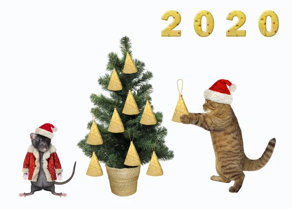 Gato decorando el árbol de Navidad 4 — Foto de Stock