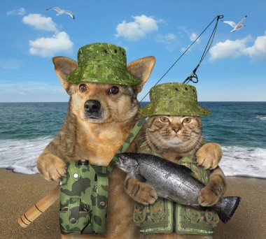 Köpek ve kedi balıkçılığı