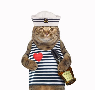 Rom şişesi ile Kedi mariner