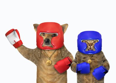 Köpek ve kedi boksörler vardır