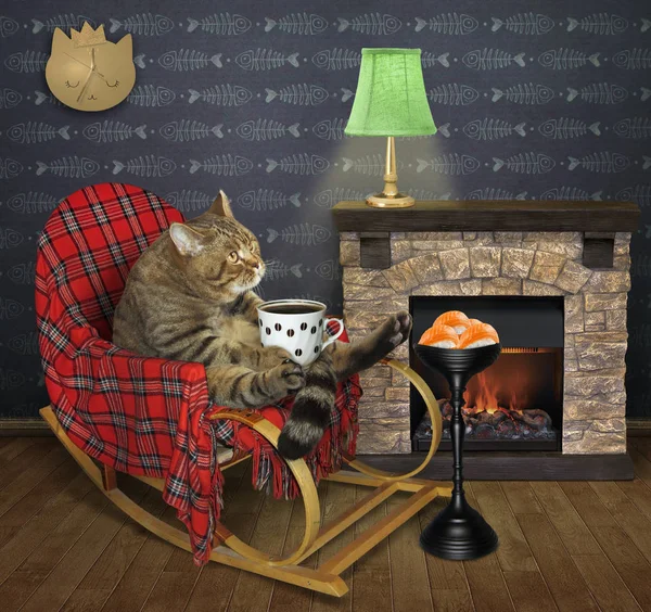 Cat drinks coffee by a fireplace