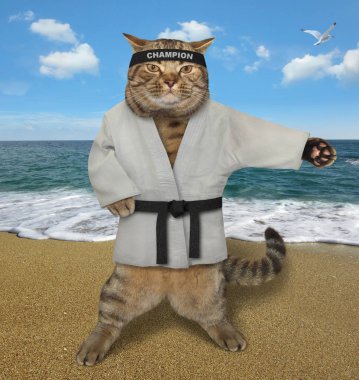 Sahilde Kedi karate 2